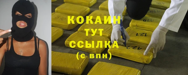 твердый Алексин