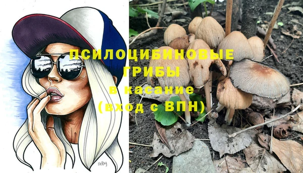 spice Алзамай