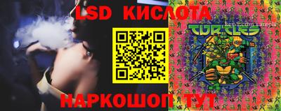 ешки Кингисепп