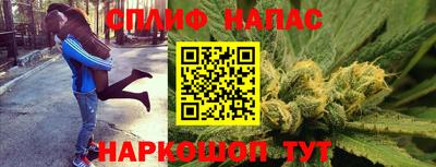 прущие грибы Кинель