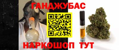ешки Кингисепп
