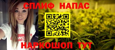 ешки Кингисепп