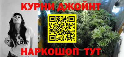 ешки Кингисепп