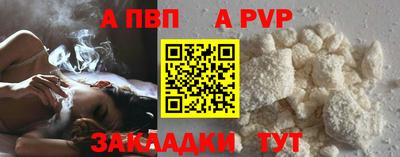 ешки Кингисепп