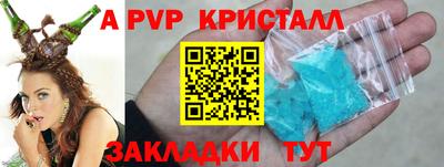 ешки Кингисепп