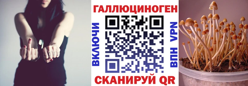 Галлюциногенные грибы Psilocybine cubensis  цена   Крымск 